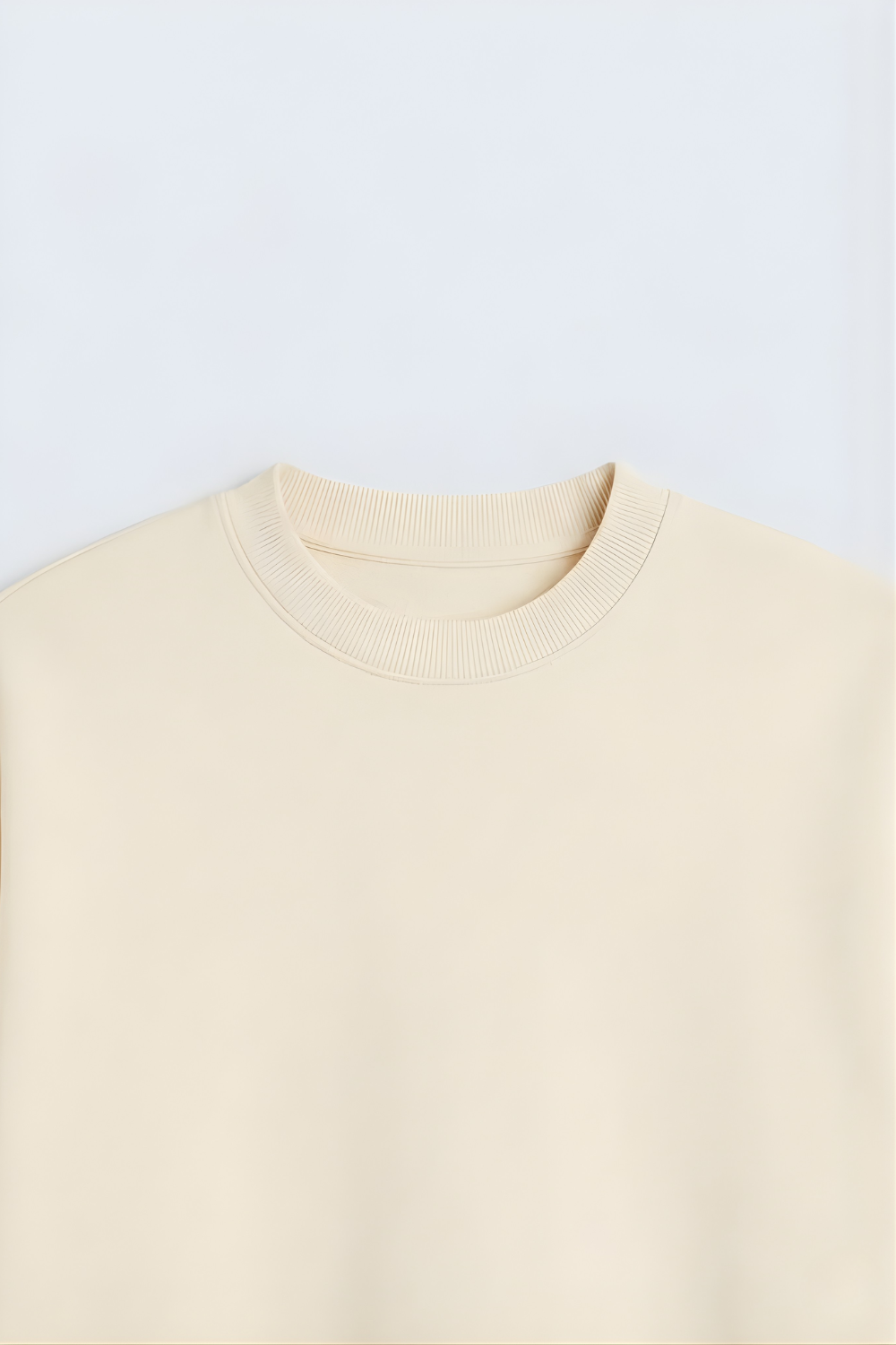 Cute Kawaii Kitty Duo Oversized Tee